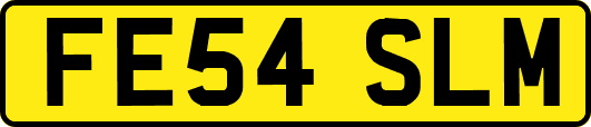FE54SLM