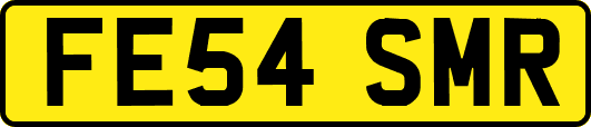 FE54SMR
