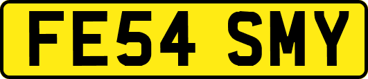 FE54SMY
