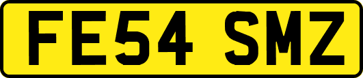 FE54SMZ