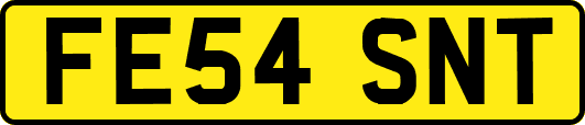 FE54SNT