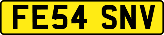 FE54SNV