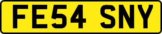FE54SNY