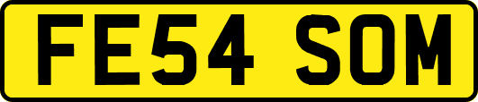 FE54SOM