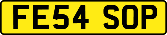 FE54SOP