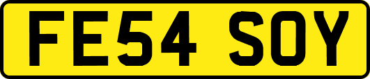 FE54SOY