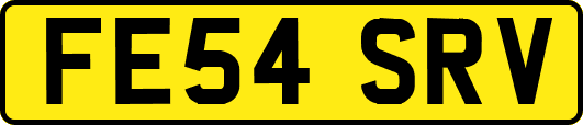 FE54SRV