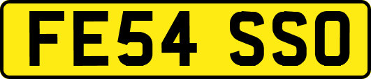 FE54SSO