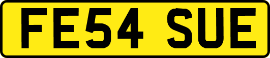 FE54SUE