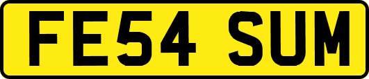 FE54SUM
