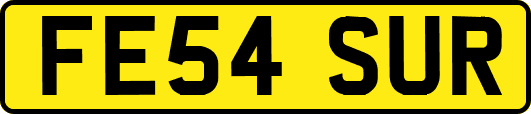 FE54SUR