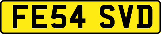 FE54SVD