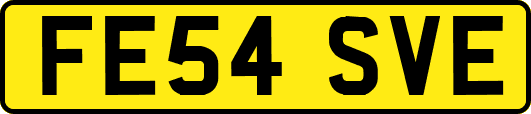 FE54SVE