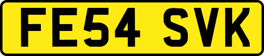 FE54SVK