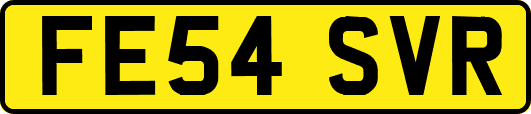 FE54SVR