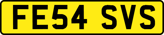 FE54SVS