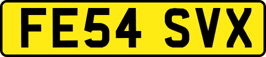 FE54SVX
