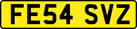 FE54SVZ