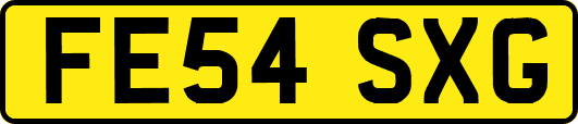 FE54SXG