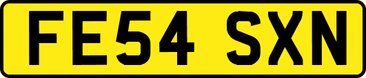 FE54SXN