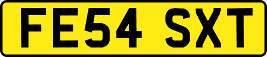 FE54SXT