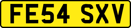 FE54SXV