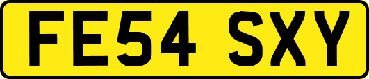 FE54SXY