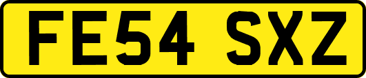 FE54SXZ
