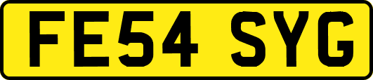 FE54SYG