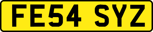 FE54SYZ
