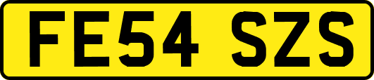FE54SZS