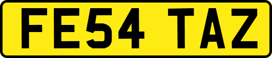 FE54TAZ