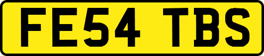 FE54TBS