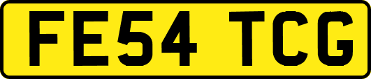 FE54TCG