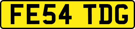 FE54TDG