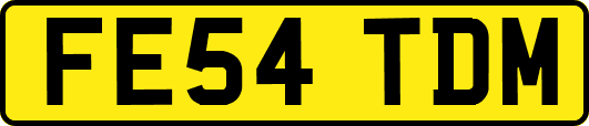 FE54TDM