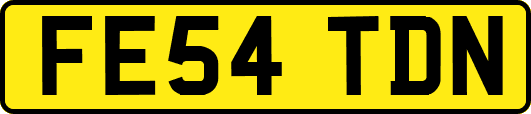 FE54TDN