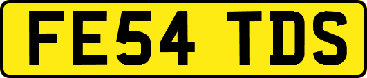 FE54TDS