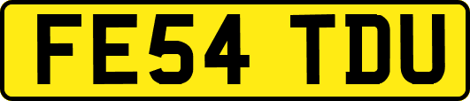 FE54TDU