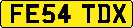 FE54TDX