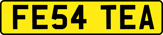 FE54TEA
