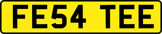 FE54TEE
