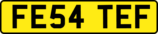 FE54TEF