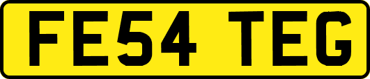 FE54TEG