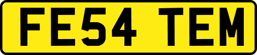 FE54TEM