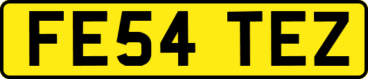 FE54TEZ