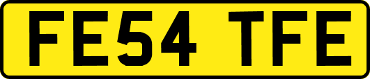 FE54TFE