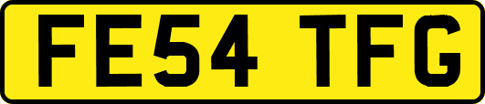 FE54TFG
