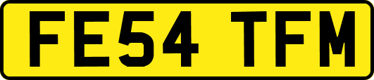 FE54TFM