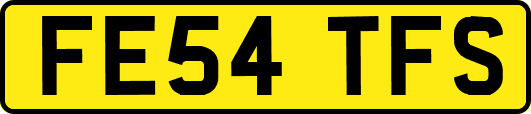 FE54TFS